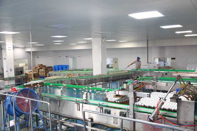 每逢佳節胖三斤？低糖即食燕窩代工廠攜手倉儲業，助你搶占健康消費新賽道